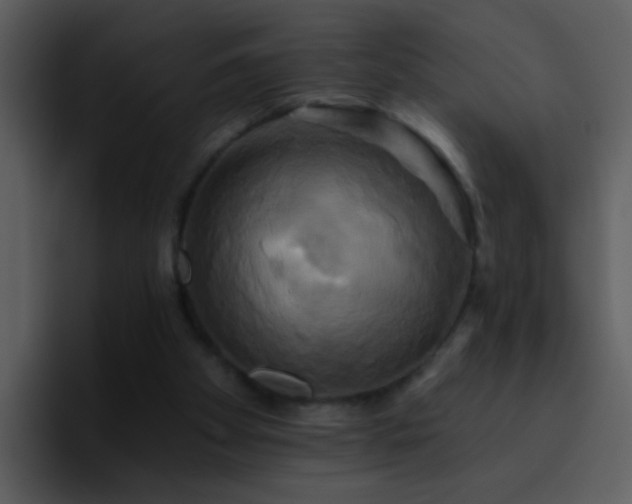 X0000095680105200801081237