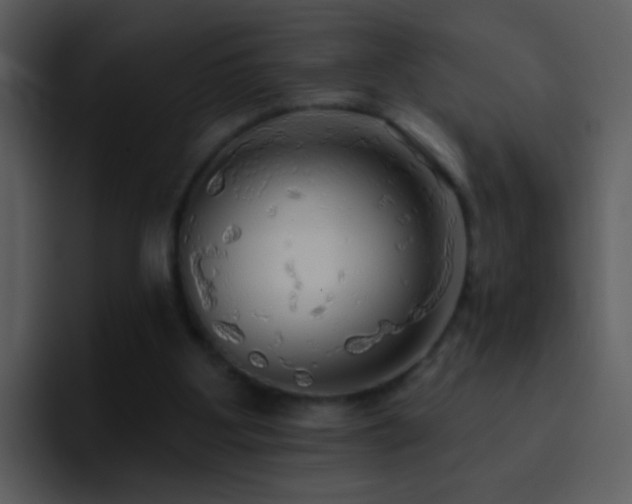 X0000095680107200801081237