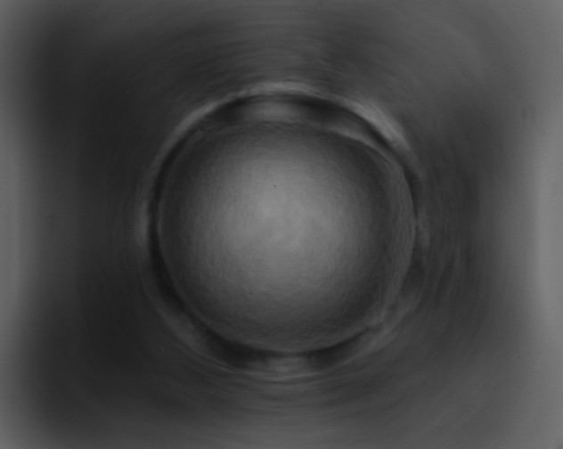 X0000095680108200801081237