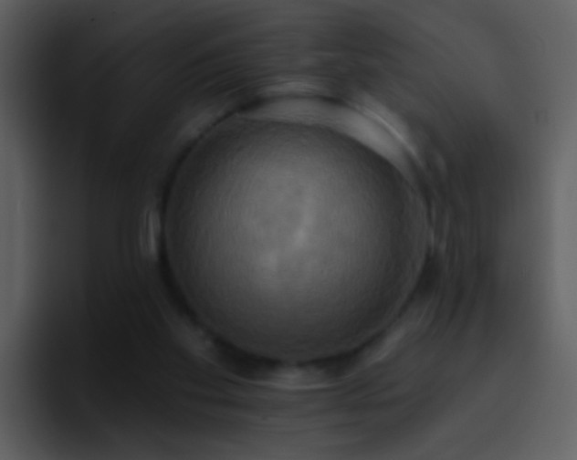 X0000095680109200801081237