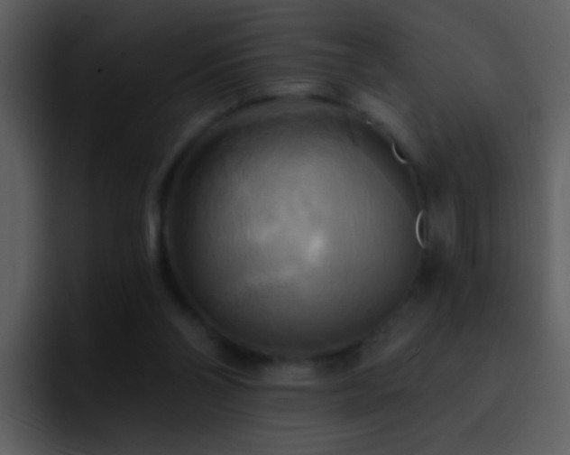 X0000095680110200801081237