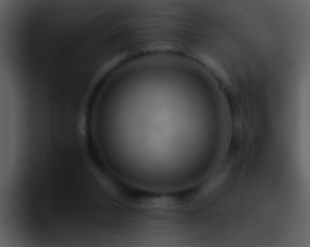 X0000095680112200801081237