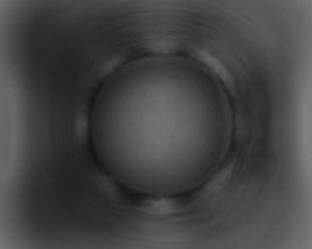 X0000095680113200801081236