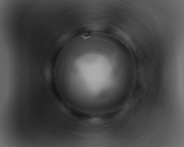 X0000095680114200801081236