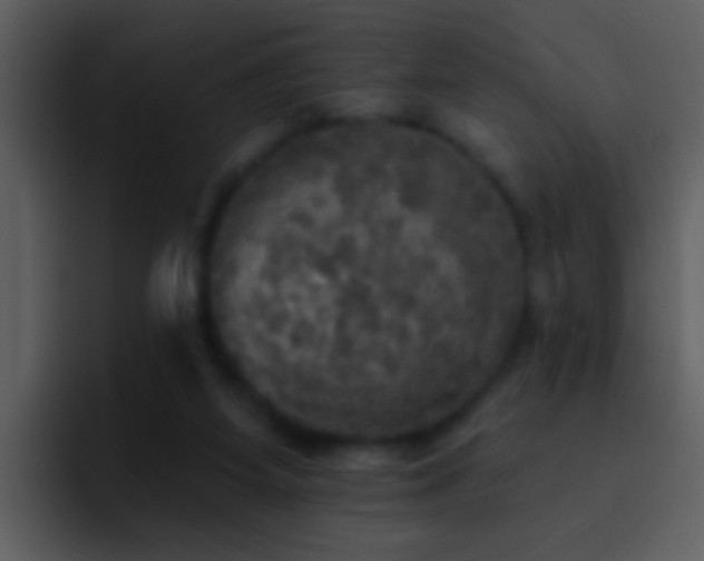 X0000095680115200801081236