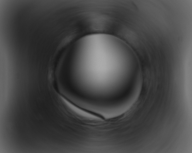 X0000095680116200801081236
