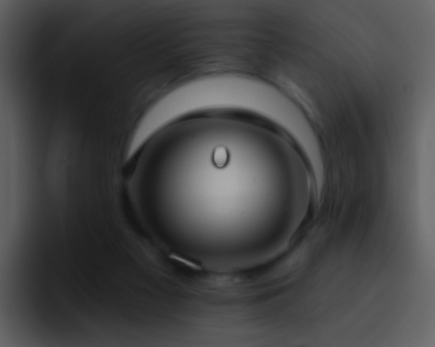 X0000095680117200801081236