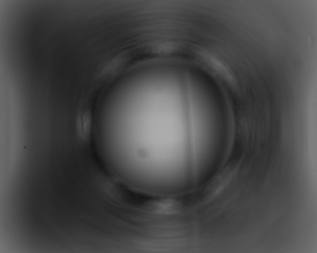 X0000095680118200801081236