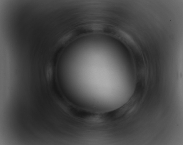 X0000095680120200801081236