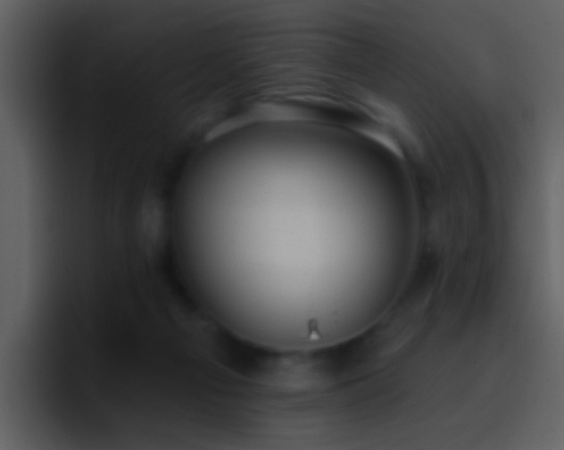 X0000095680121200801081236