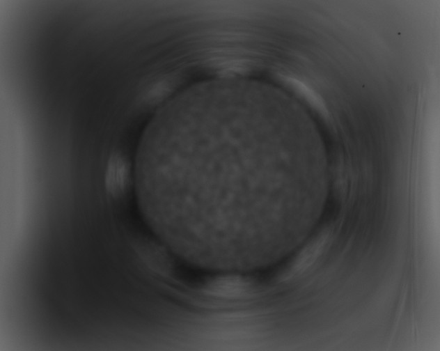 X0000095680123200801081236