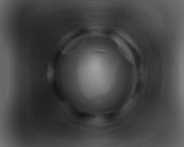 X0000095680124200801081236