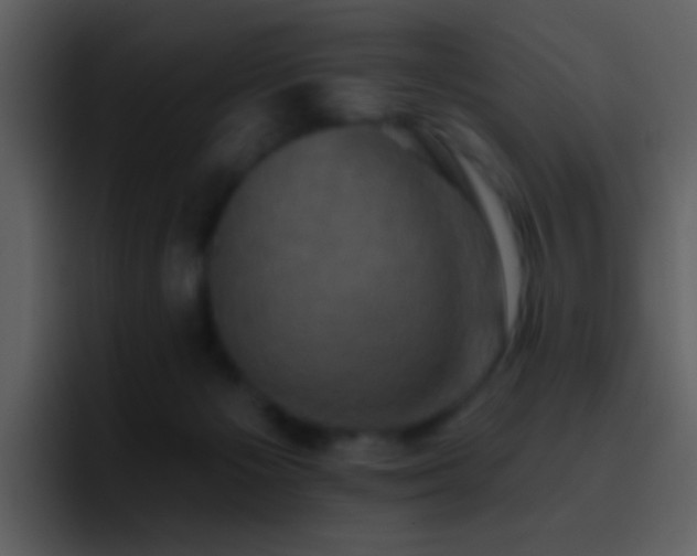 X0000095680125200801081236