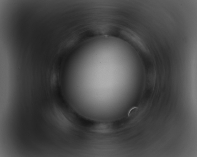 X0000095680126200801081236