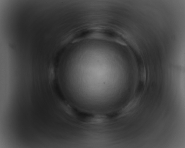 X0000095680128200801081236
