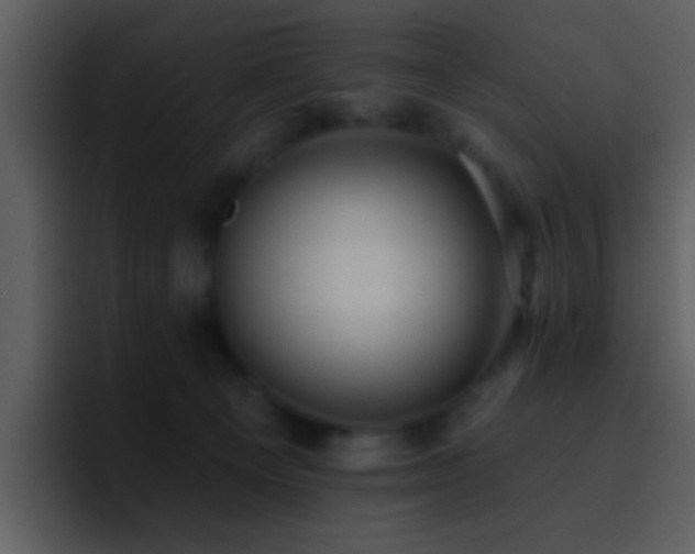 X0000095680129200801081236
