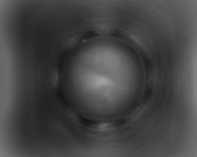 X0000095680130200801081236