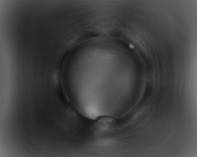 X0000095680131200801081236