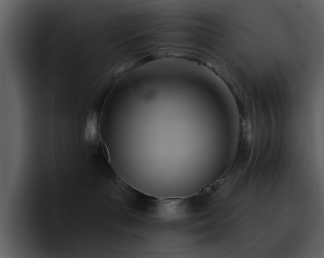 X0000095680143200801081236
