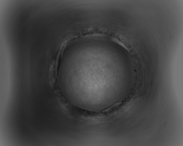 X0000095680144200801081236