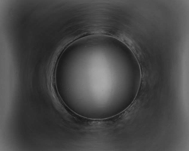 X0000095680145200801081235