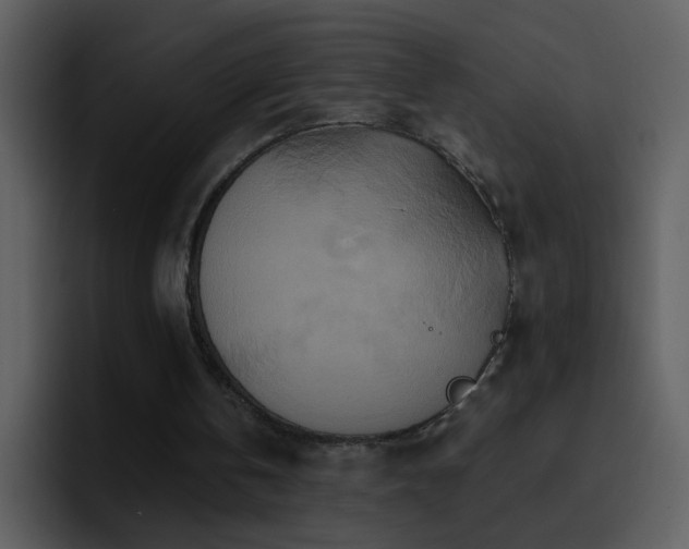 X0000095680146200801081235