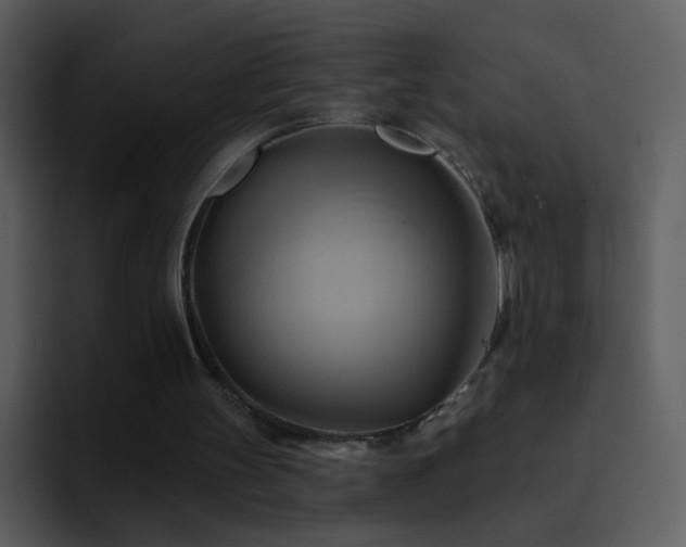 X0000095680147200801081235