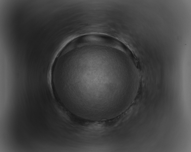X0000095680148200801081236