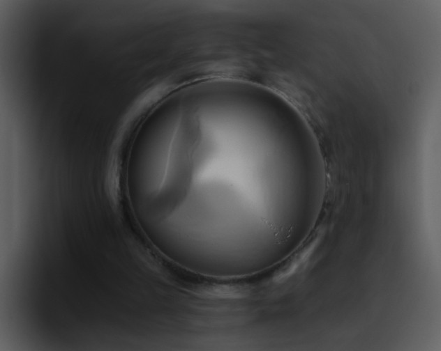 X0000095680149200801081236
