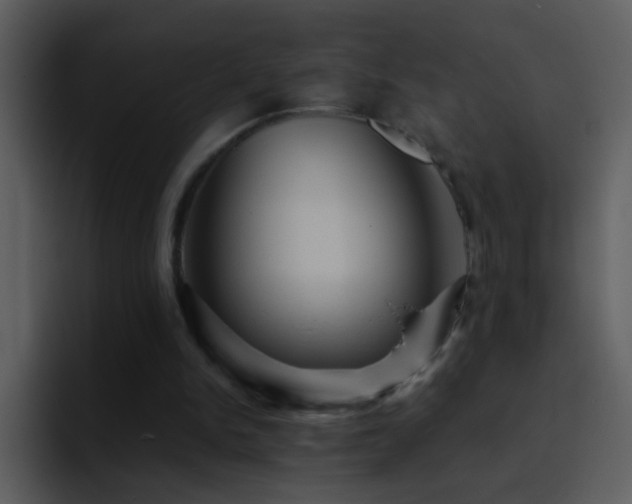 X0000095680150200801081236