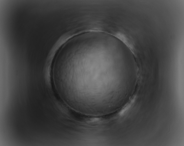 X0000095680151200801081236