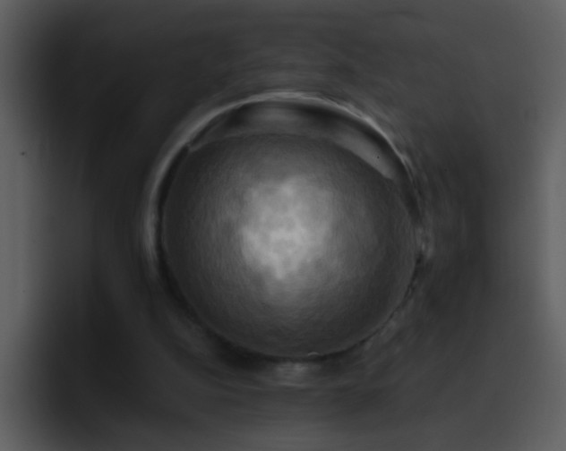 X0000095680152200801081236