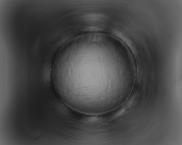 X0000095680153200801081236