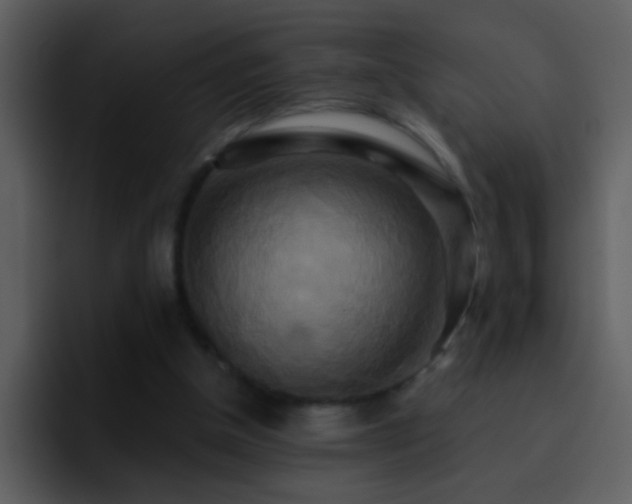 X0000095680154200801081236