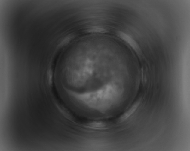 X0000095680157200801081236