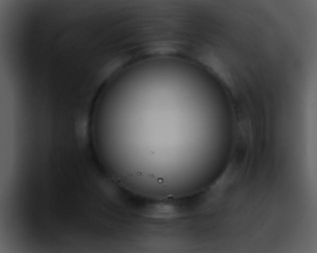 X0000095680159200801081236