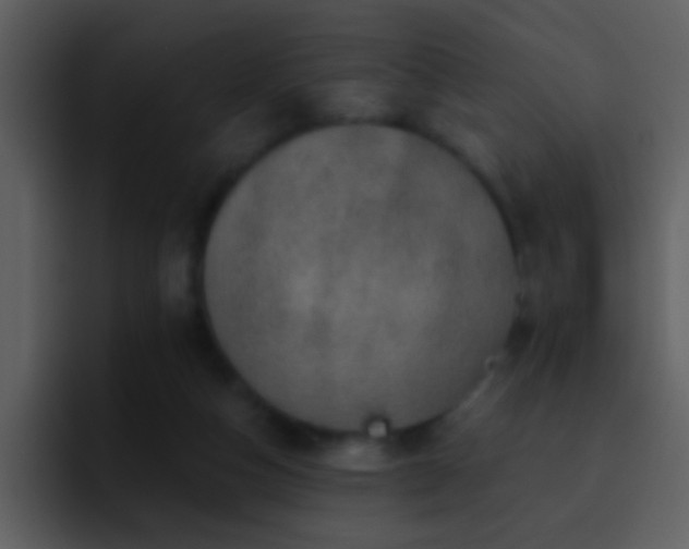 X0000095680162200801081236