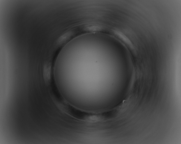 X0000095680163200801081236