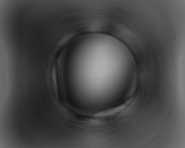 X0000095680164200801081236