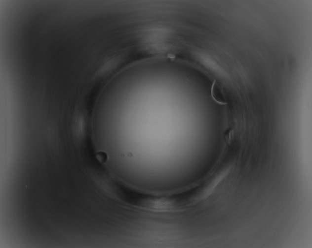 X0000095680165200801081236