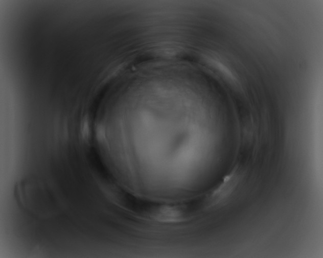 X0000095680166200801081236