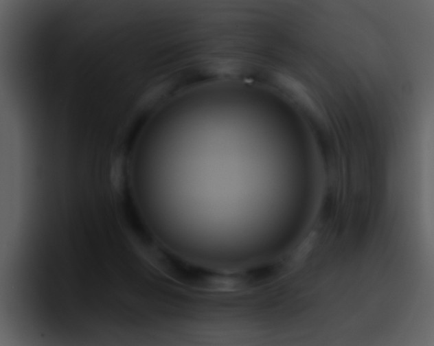 X0000095680167200801081236