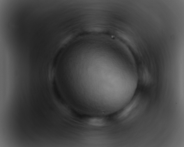 X0000095680168200801081236