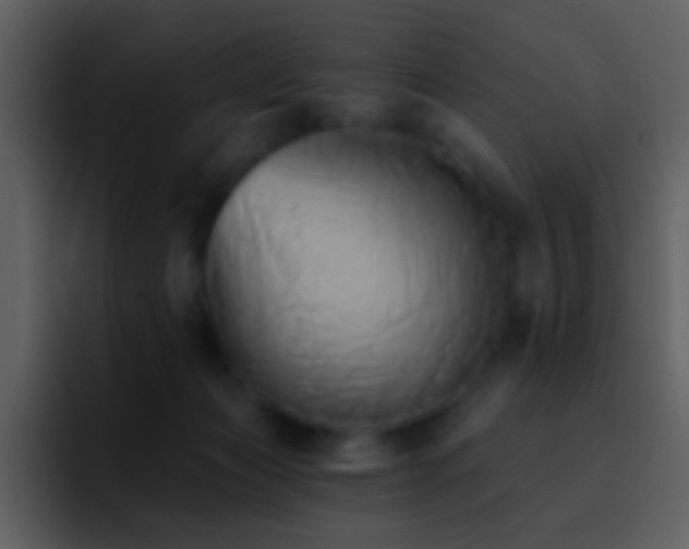 X0000095680173200801081236