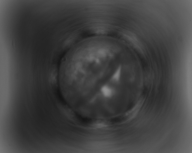 X0000095680175200801081236