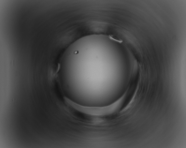 X0000095680176200801081236