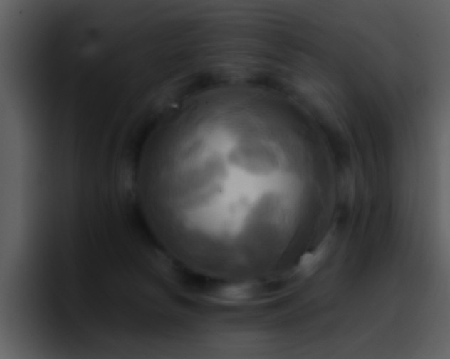 X0000095680178200801081236
