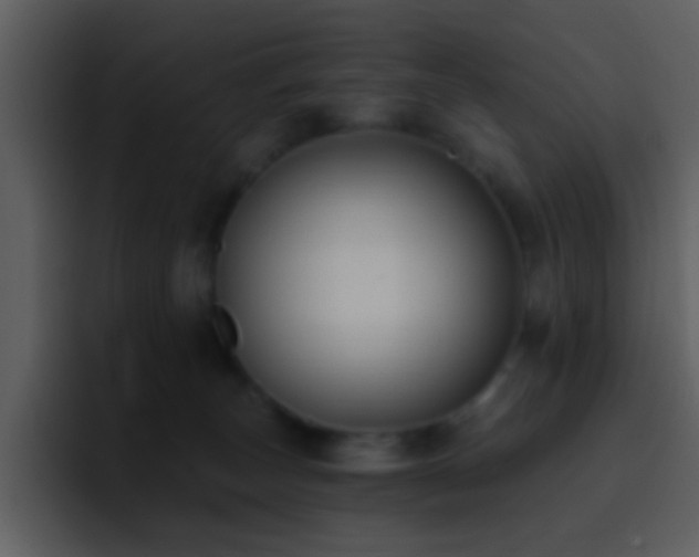 X0000095680179200801081236