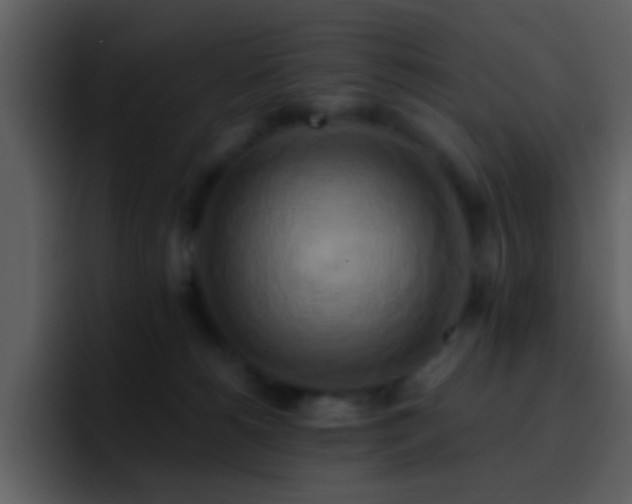 X0000095680180200801081236