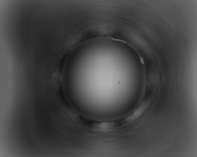 X0000095680184200801081236